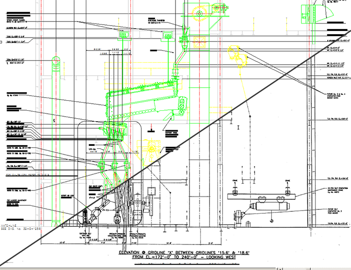 Illustration of Plant Drawing Conversion